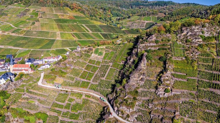 Weinpräsentation bei der Winzergenossenschaft Mayschoß-Altenahr
